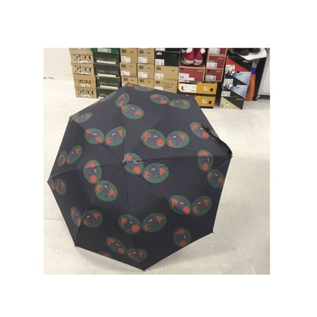 PRO ERA LOGO UMBRELLA