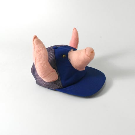 USED UNKNOWN PIG MESH CAP