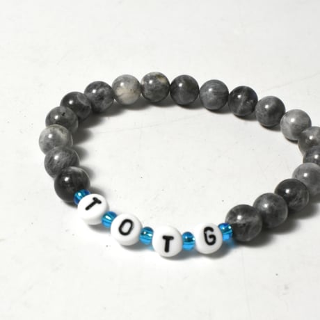 TOTG "ALL ACCESS TOUR WRIST BAND" BLACK