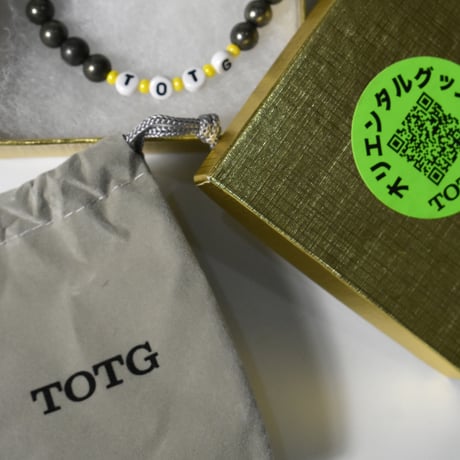 TOTG "ALL ACCESS WRISTBAND"