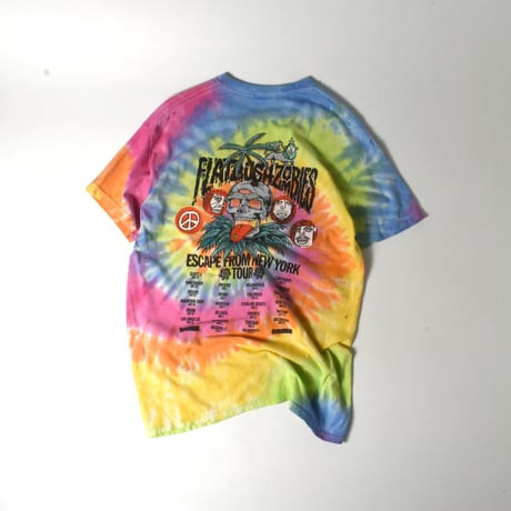 USED "FLATBUSH ZOMBIES" OFFICIAL MERCH T-shirt