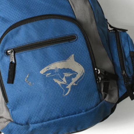 USED "L.L.BEAN" BACKPACK