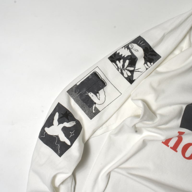 THE T. S. J. TORONADOES The Goose レアグルーブ The T.S.U.