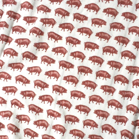 USED COTTON HOUSE CLOTH