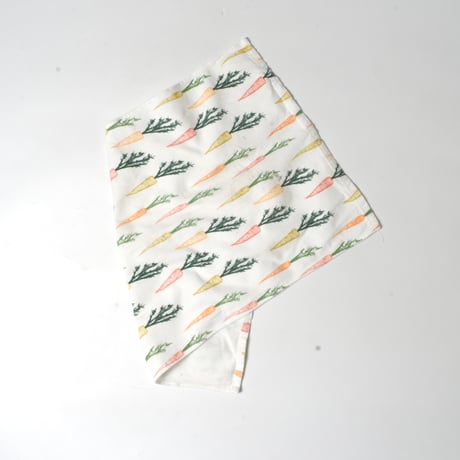USED COTTON HOUSE CLOTH