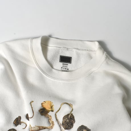 USED UNKNOWN MUSHROOM SWEAT
