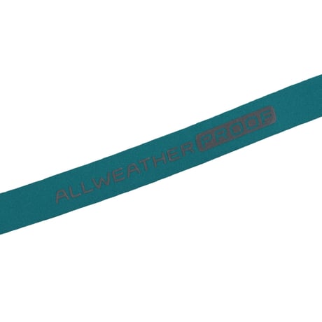 "ALWAYTH" EYEWEAR RETAINER