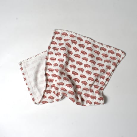 USED COTTON HOUSE CLOTH