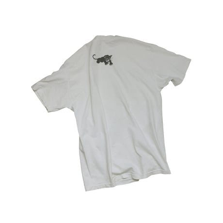 USED "BLACK PANTHER PARTY / THE 10 DEMANDMENTS" T-shirt