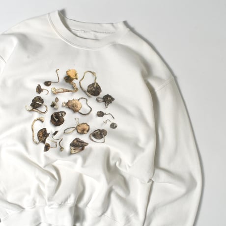 USED UNKNOWN MUSHROOM SWEAT