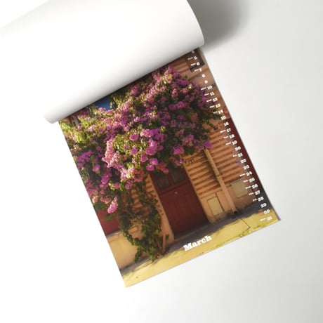 Taku Tsutsui "Seize your 2025" PHOTO CALENDAR