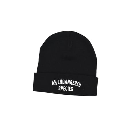 KIZM "A.E.S. Beanie"