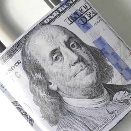 "FAMILY MAID" 100DOLLAR SAVING BANK