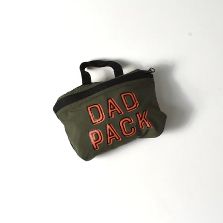 USED "DAD PACK" NYLON PACKABLE BACKPACK
