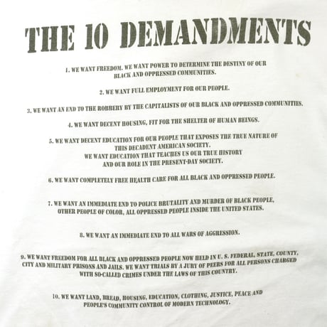 USED "BLACK PANTHER PARTY / THE 10 DEMANDMENTS" T-shirt