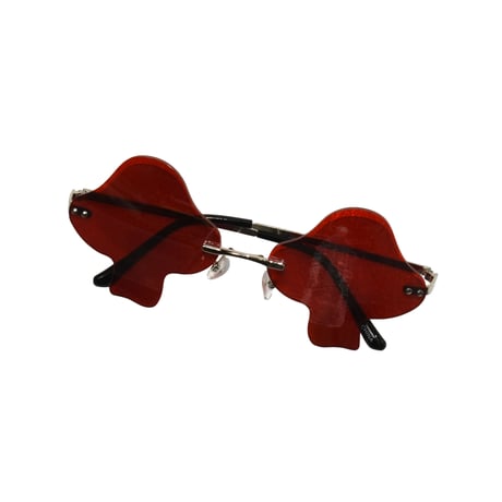 UNKNOWN GLASSES
