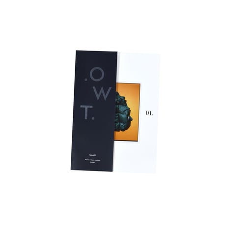 .OWT.