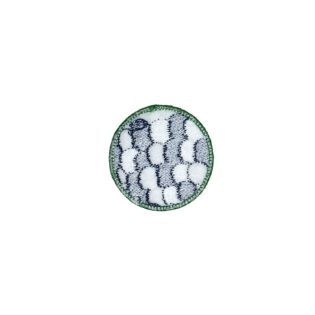 DDQS "EQUAL" PATCH