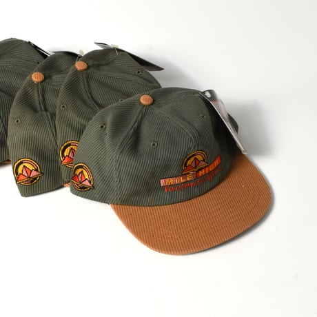 NOS "MILE HIGH TECHNOLOGIES" ELEPHANT TWILL CAP