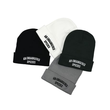 KIZM "A.E.S. Beanie"