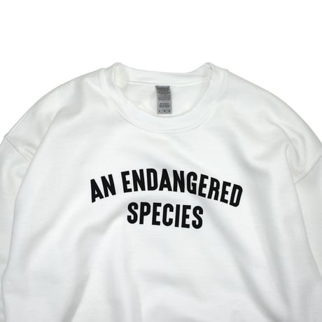 KIZM "A.E.S. Crew neck Sweat"
