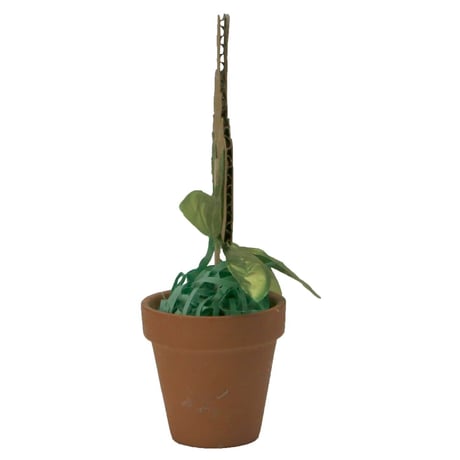 F**K YOU FLOWER