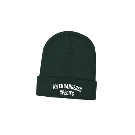 KIZM "A.E.S. Beanie"