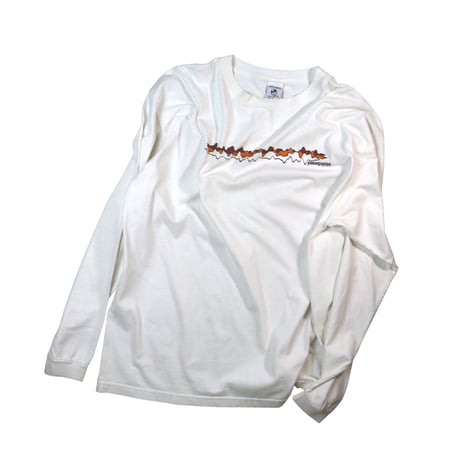 USED "PATAGONIA" L/S T-shirt