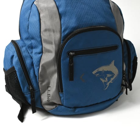 USED "L.L.BEAN" BACKPACK