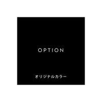 OPTION / オリジナルカラー