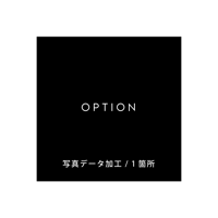 OPTION / 写真データ加工