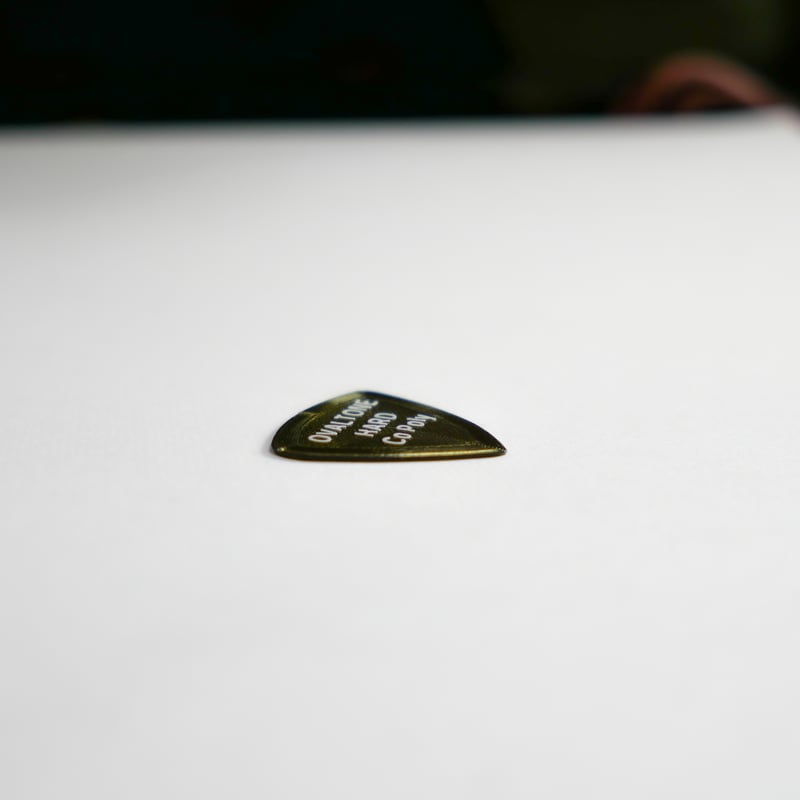 3Dプリントピック 2024 version よりどり10枚 +ピックケース【普通郵便