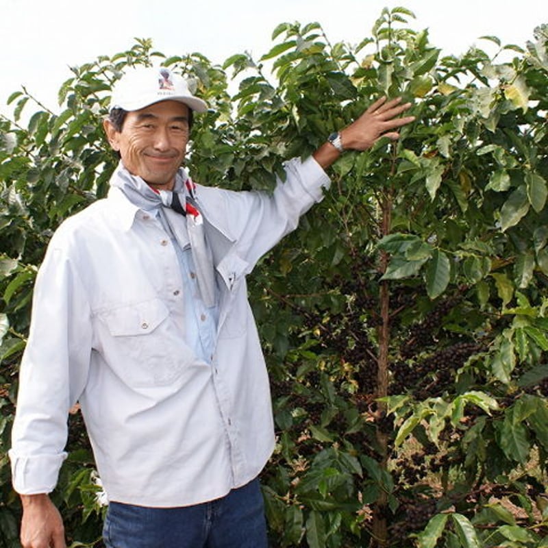 ブラジル トミオ・フクダ DOT 200g | Coro Coro 珈琲