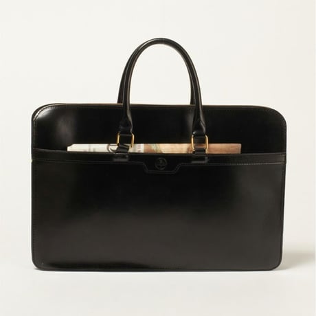2 HANDLE ZIP CASE