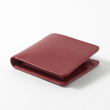 HIP WALLET WITH DIVIDER