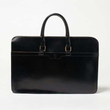 2 HANDLE ZIP CASE