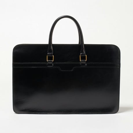 2 HANDLE ZIP CASE