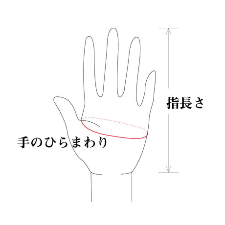 颯天　甲手