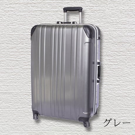 ポリカーボネート剣道ケース