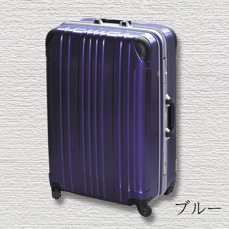 ポリカーボネート剣道ケース