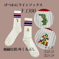 けつわに！ソックス
