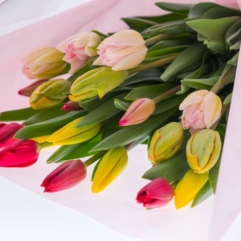 クール便対応】チューリップだけの贅沢な花束（20本入り） | 農家直送