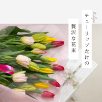 チューリップだけの贅沢な花束（20本入り）