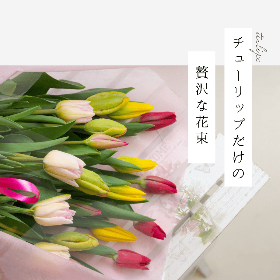 5c6fa675787d845153f3243c