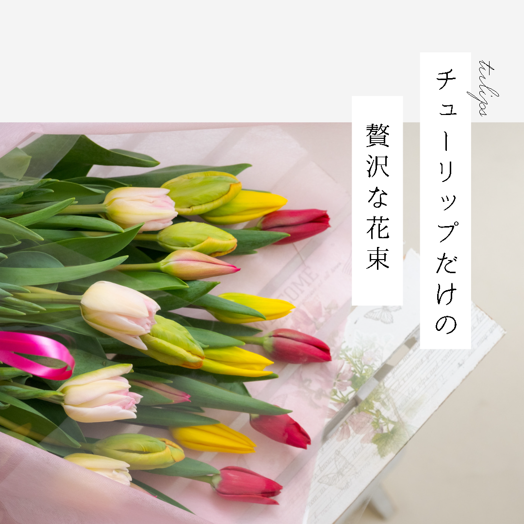 チューリップだけの贅沢な花束（20本入り） | 農家直送チューリップ