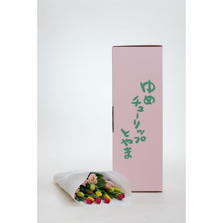 【クール便対応】チューリップだけの贅沢な花束（20本入り）