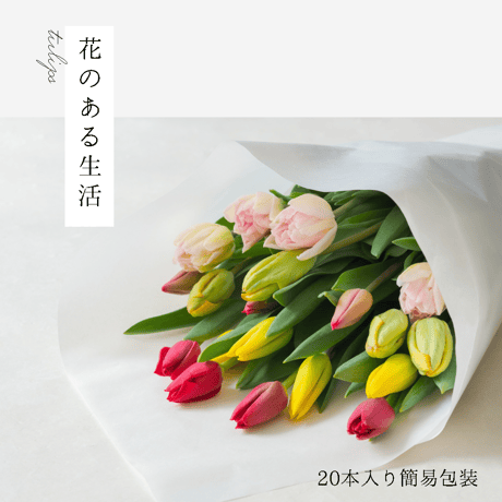 花のある生活・20本入り簡易包装
