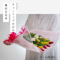 【クール便対応】チューリップだけの贅沢な花束（20本入り）