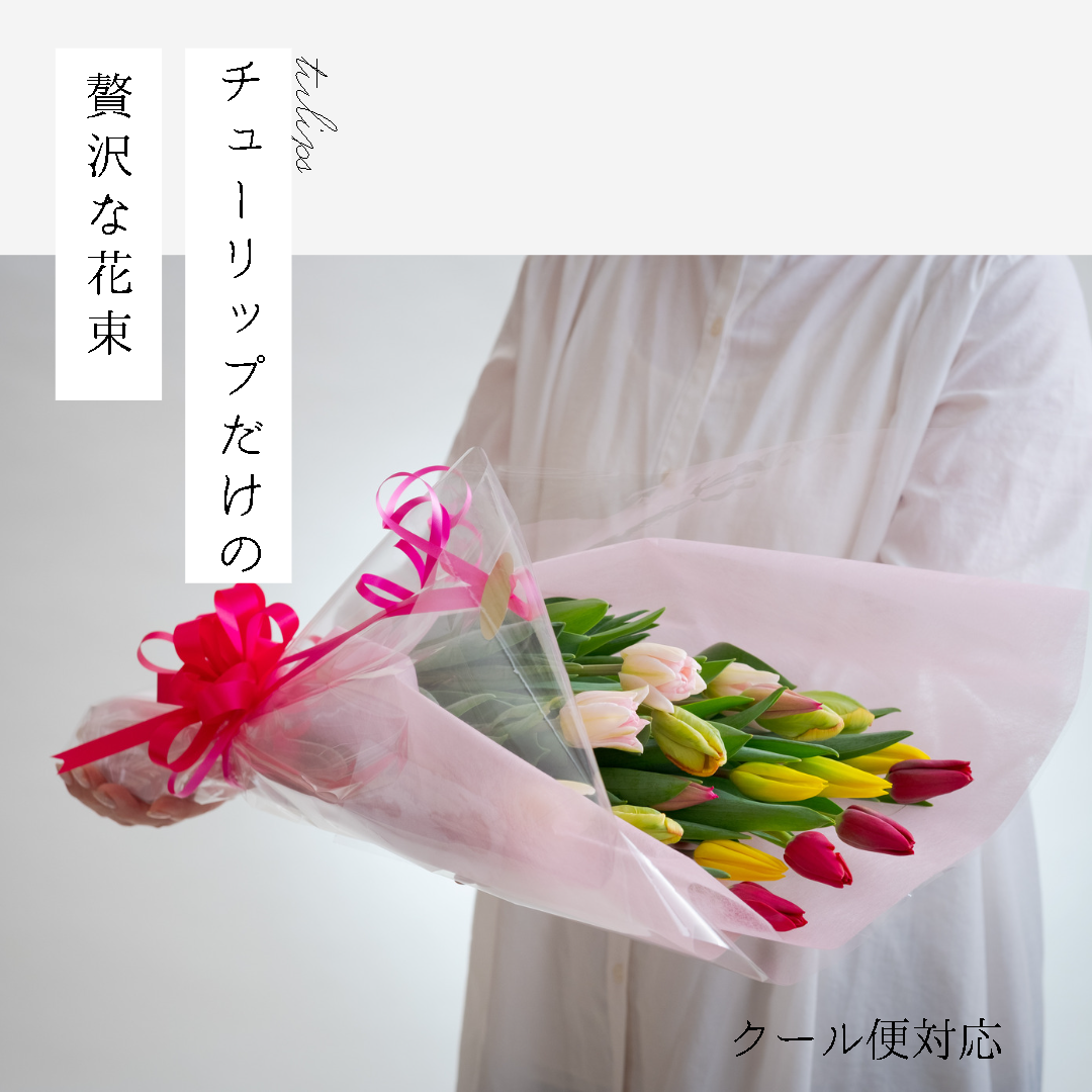 クール便対応】チューリップだけの贅沢な花束（20本入り） | 農家直送