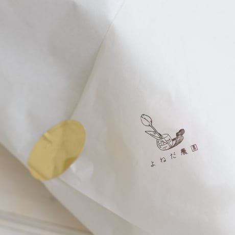 【クール便対応】花のある生活・20本入り簡易包装